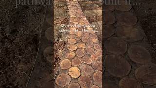 Wood slice garden pathway review… since when is this a bad thing backyard sustainable [upl. by Adam]