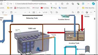 Nitrification and DeNitrification Actual rafianewton [upl. by Nylyrehc7]