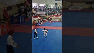 Tournament Taekwondo 2024 kids fighting [upl. by Allenotna200]