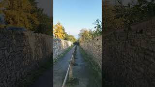 Penarth Alleyway  26 October 2024 vlog [upl. by Willem]