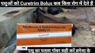 Use Vetenary Curetrim bolus  Trimethoprim amp Sulphamethoxazole Tablets IP  Curetrim tablet [upl. by Ahsaya527]