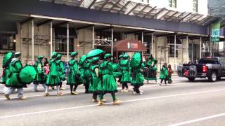 Mummers Parade 2014 [upl. by Adlecirg]