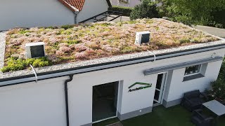 Extensive green roof  ArchiGreen® Ltd [upl. by Mclyman]