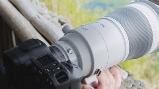 Our CANON RF 400mm f28L IS USM amp RF 600mm f4L IS USM Review  Should you go mirrorless [upl. by Assi720]