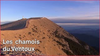 Lascension du Ventoux [upl. by Llerrehs747]