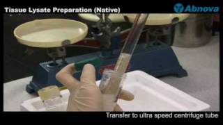 Tissue Lysate Preparation Native [upl. by Tristan]