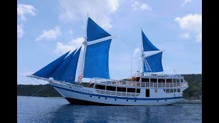 PEARL OF PAPUA LIVEABOARD  scuba diving holiday in Raja Ampat  DIVE THE WORLD [upl. by Franzoni]