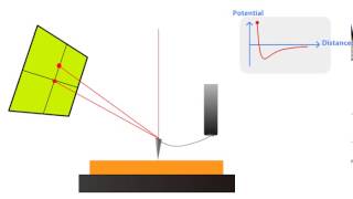 AFM Principle  How AFM Works [upl. by Areta]