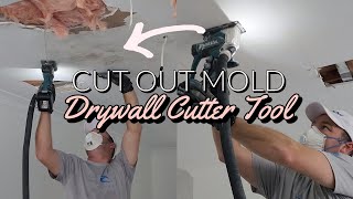 How To Remove Mold From Drywall Ceiling [upl. by Chap]