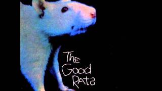 THE GOOD RATS joey ferrari [upl. by Ida]