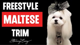 Maltese Styling How to groom a Maltese in a Freestyle Fusion haircut [upl. by Ellebana352]