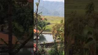 Zostel Pokhara  Nepal  zostel travellerkdeals pokhara nepalroadtrip ytshorts shortsyoutube [upl. by Alrak]