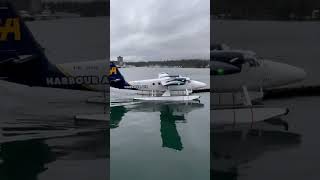 Plane harbour plane water flight takeoff travel [upl. by Mikahs639]