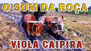 🔔O Som Da Roça  De 01 Hora De VIOLA CAIPIRA  Modão Sertanejo Raizvol205 [upl. by Ettevahs625]