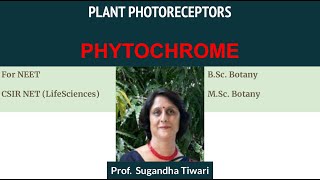 Plant Photoreceptor Phytochrome [upl. by Erdied422]