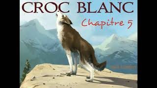 Croc Blanc  Livre Audio 🔈  chapitre 5  La tanière  Jack London [upl. by Reffotsirhc]