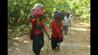 Girnar Lili Parikrama begins [upl. by Blandina913]