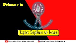 Anatomy Spotlight The Nasal Septum [upl. by Yelyac]