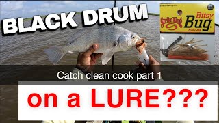 Catching Black Drum on Shrimp and SHRIMP LURE Copano Bay Kayak Fishing Catch Clean Cook Part 1 [upl. by Luane]