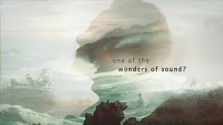 What’s your wonder of sound [upl. by Apthorp]