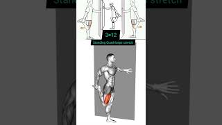 Standing Quadriceps Stretch  Body building workout youtubeshorts [upl. by Auberon475]