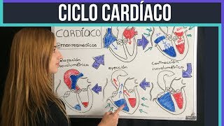 CICLO CARDÍACO ¡fácil explicación  Mentes Médicas [upl. by Haydon]