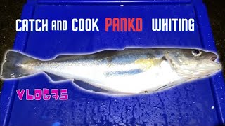 Catch And Cook  Winter Whiting Panko Breadcrumbed  Filleting Demo  Vlog73 [upl. by Asit]