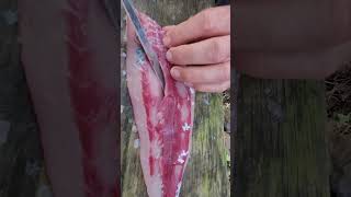 FISHING TIP 1 Use Fish Scraps for Bait [upl. by Bainter461]