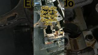 carro fumaçando pela manhã Palio uno fire10 8 valvulas e outros carros carros shorts viral [upl. by Kylen265]