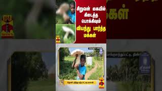 சிறுவன் கையில் கிடைத்த பொக்கிஷம்  வியந்து பார்த்த மக்கள் [upl. by Yehc]