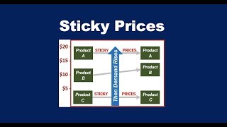 What are Sticky Prices [upl. by Malkin147]