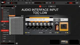 TH U Input Level Explained [upl. by Mcconnell]