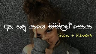 Oya Muwe Hasarel ඔය මුවේ හසරැල්  Slow  Reverb supunzstudio [upl. by Noyar]