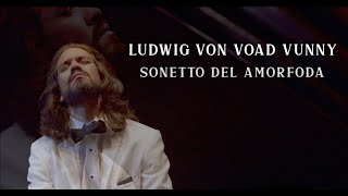 Amorfoda Sonetto  Ludwig Van Voad Vunny [upl. by Acinorej73]