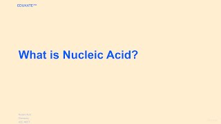 What is Nucleic Acid [upl. by Aym]