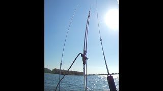 Foilsession  79 Moses 111cm W670 S421 GIN Spirit 10m wind 16 knots speed 48 KPH JUMP 8 1 meter edit [upl. by Acina948]