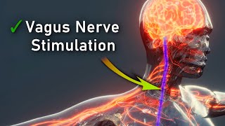 Vagus Nerve REPAIR amp Stimulation Strengthen Nervous System Euphoria may Occur • 30Hz [upl. by Lamaj553]