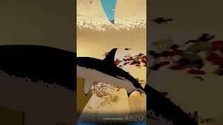 ABZÛ  Shark Week 2024  Grey Reef Shark [upl. by Nomaid]