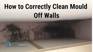 The correct way to Clean Mould off Walls [upl. by Elik]