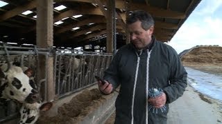 Elevage des SMS pour surveiller les vaches [upl. by Yenreit]