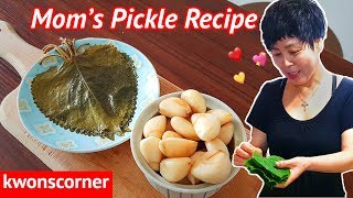 Korean Pickles With Kwons Mom Jangajji Recipe 장아찌 만들기 [upl. by Alexandro938]