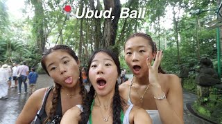 A DAY IN BALI a monkey attacked my sister [upl. by Alahc]