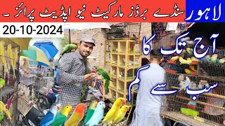 Lahore Sunday birds market New update 20102024 lahorientertainmentchannel [upl. by Arhoz839]