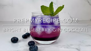 BRIGHT BLUEBERRY GIN COCKTAIL  How to Make a layered Blueberry Gin Cocktail [upl. by Nytram879]