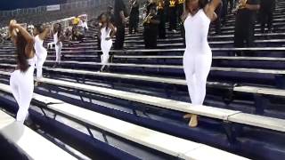 Williamson Lionettes 201415 Go Down [upl. by Lahsiv762]