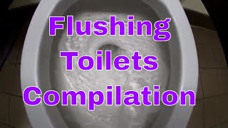 Toilet Flushing Compilation ASMR Sounds  Toilet Flushing Sounds  Relaxing Sound Effects Swirls [upl. by Cheria]