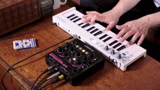 Waldorf Streichfett String Synthesizer Complete OverviewTutorial [upl. by Tnilf]