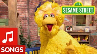 Sesame Street Big Bird Sings Happy to Be Me Song [upl. by Vel]