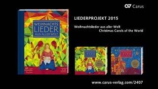 Weihnachtslieder aus aller Welt  LIEDERPROJEKT [upl. by Kirenoj448]