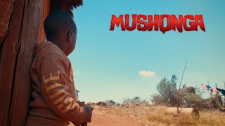 Holy Ten  Mushonga Official Video [upl. by Derman]